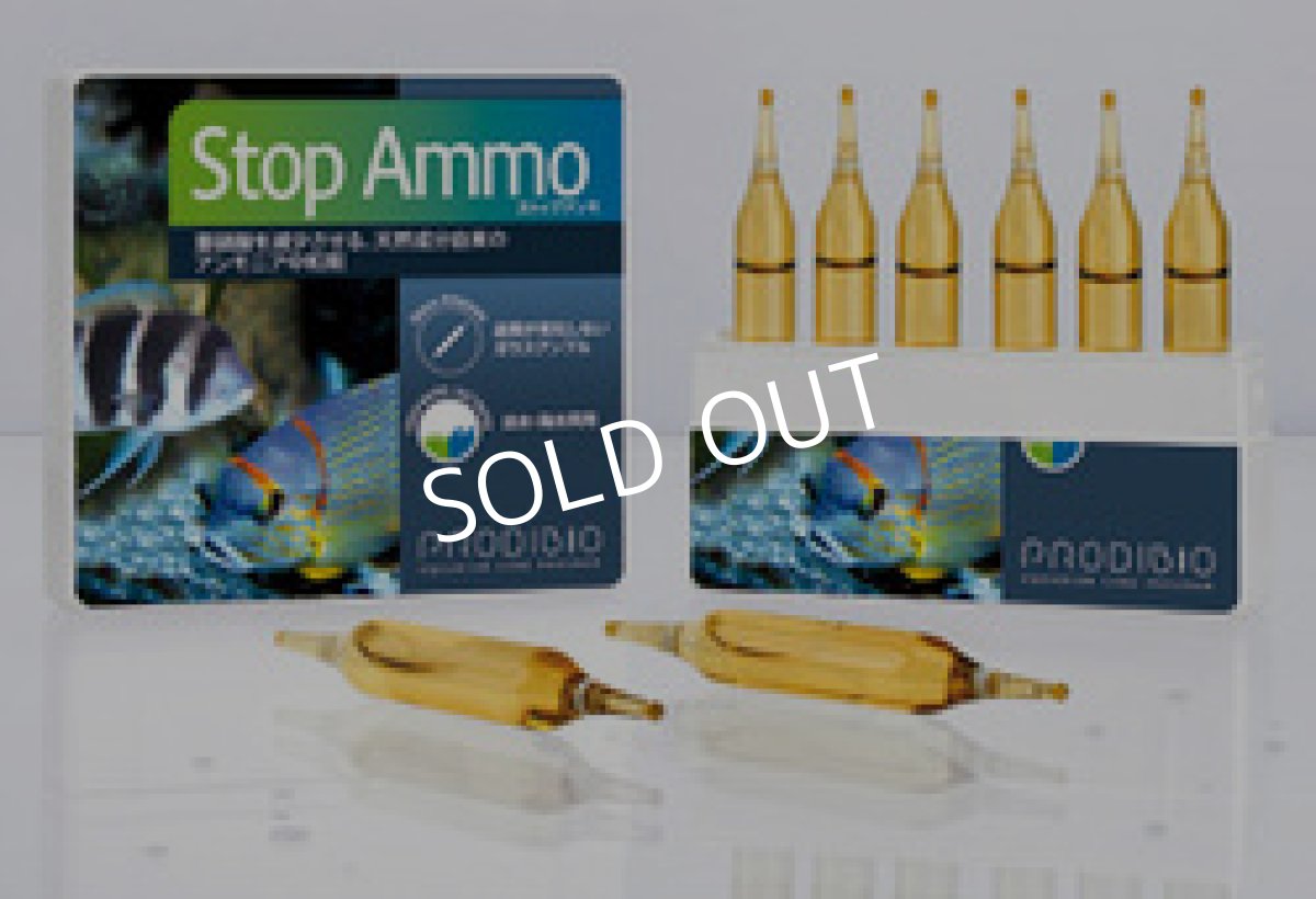 画像1: ＳＴＯＰ　ＡＭＭＯ　ストップアンモ　淡水・海水両用　３０本入り (1)