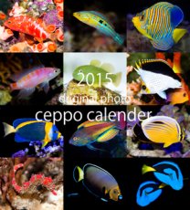 画像1: 2015年 セポ オリジナルカレンダー (1)