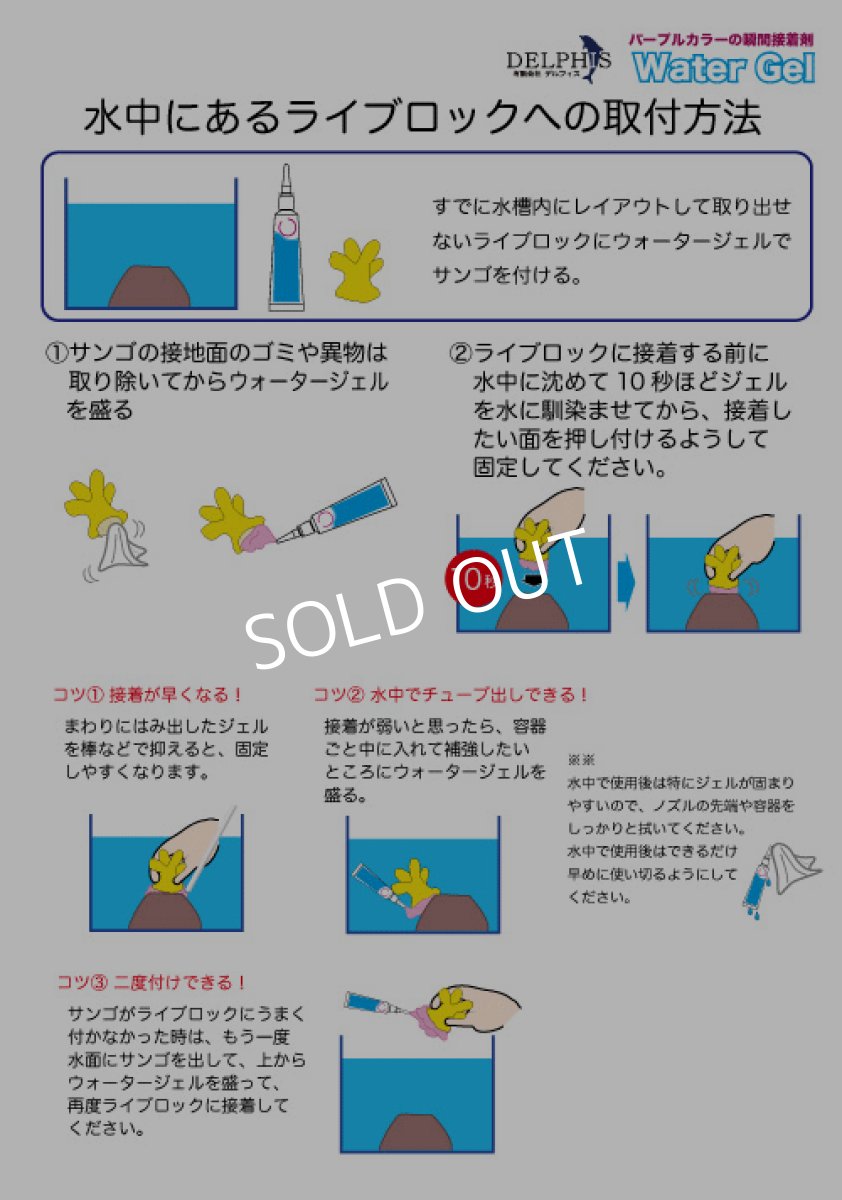 画像2: デルフィス ウォータージェル 内容量 10ml  (2)