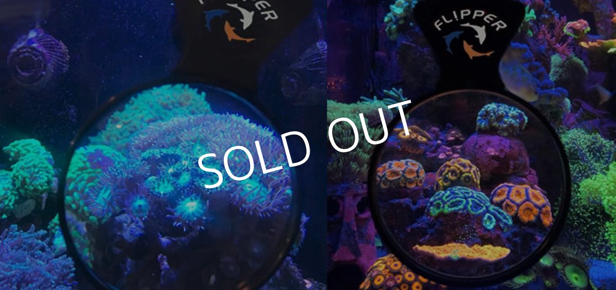 画像2: Flipper Aquarium Viewer (2)