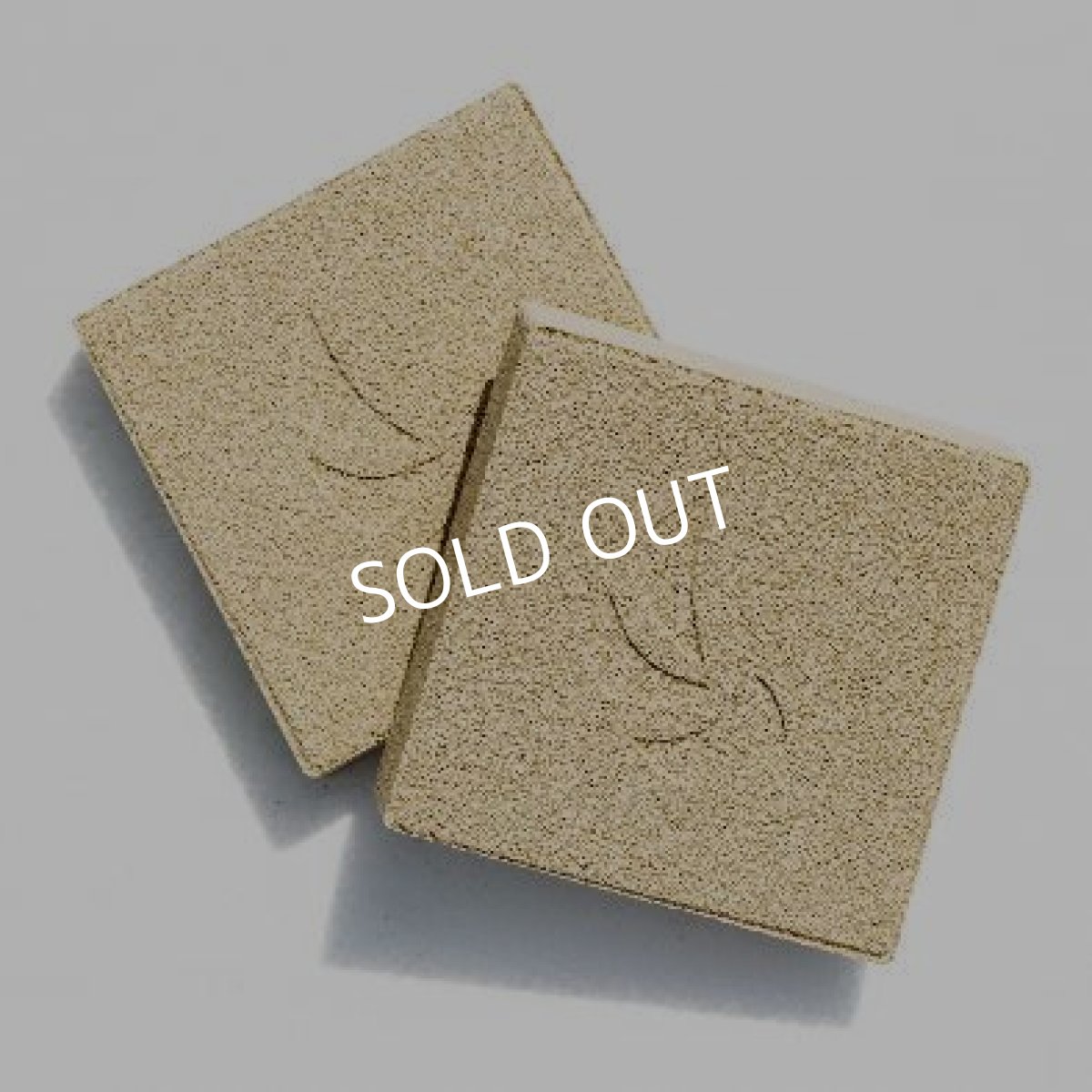 画像3: Nano-Tech Bio-Block 2個 (3)