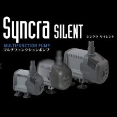 画像1: 水陸両用ポンプ Syncra シンクラ3,0 60Hz用  (1)