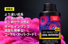 画像2:  RedSea リーフエナジープラス ５００ml (2)