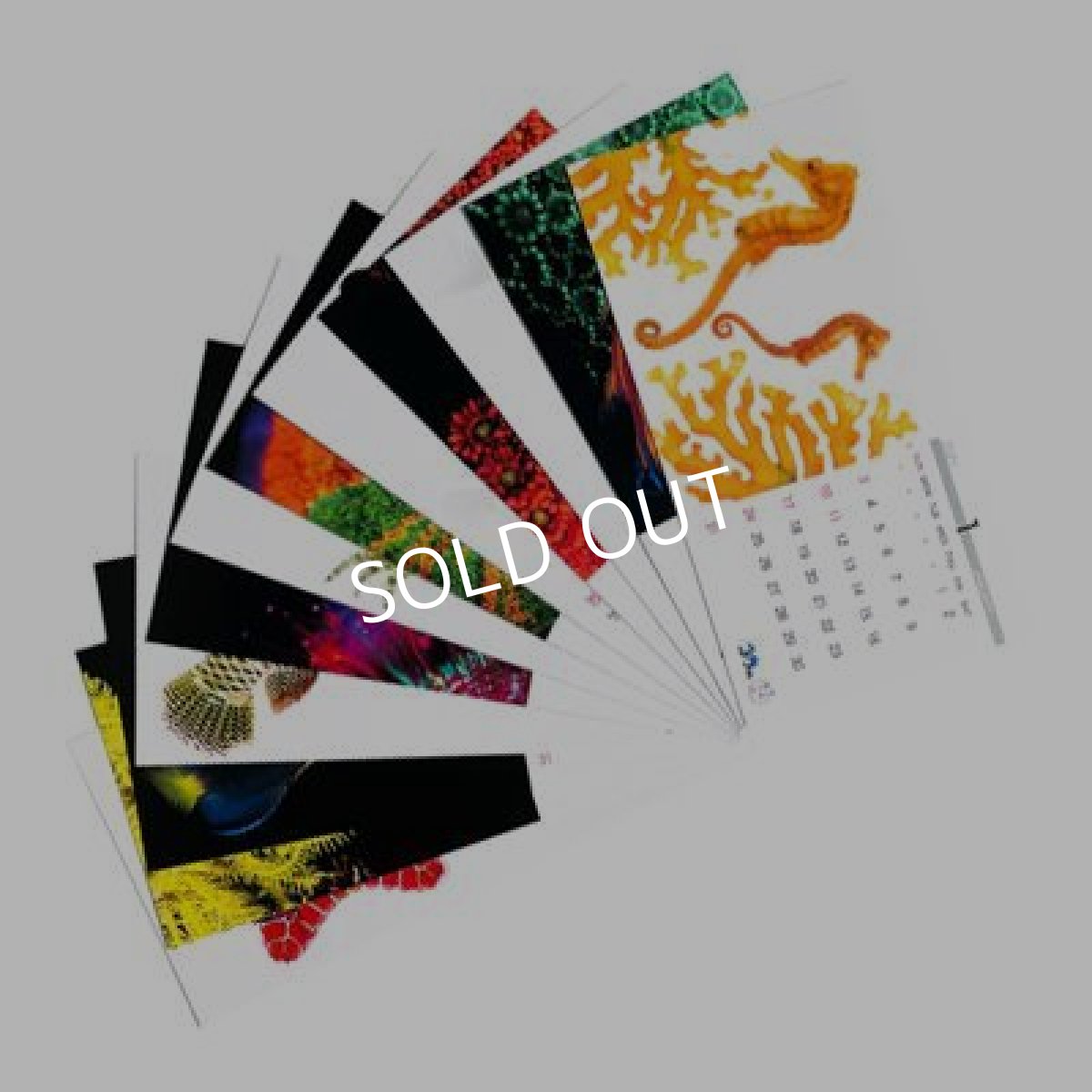 画像3: ２０２１セポ・オリジナルフォトカレンダー (3)