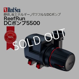 RedSea レッドシー - 海水魚専門店 ceppo onlinestore (Page 1)