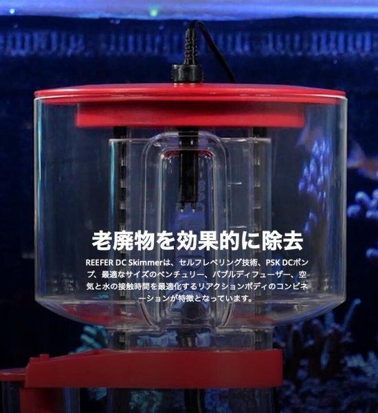 RedSea REEFER DC Skimmer 600 - 海水魚専門店 ceppo onlinestore