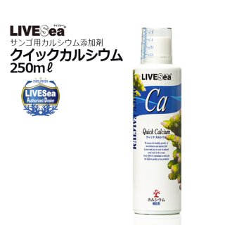 楽天市場】（海水魚）60cm水槽セット サンゴ簡易育成フル