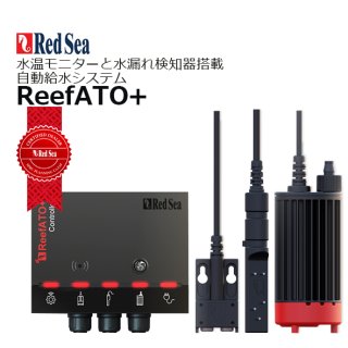 RedSea レッドシー - 海水魚専門店 ceppo onlinestore (Page 1)