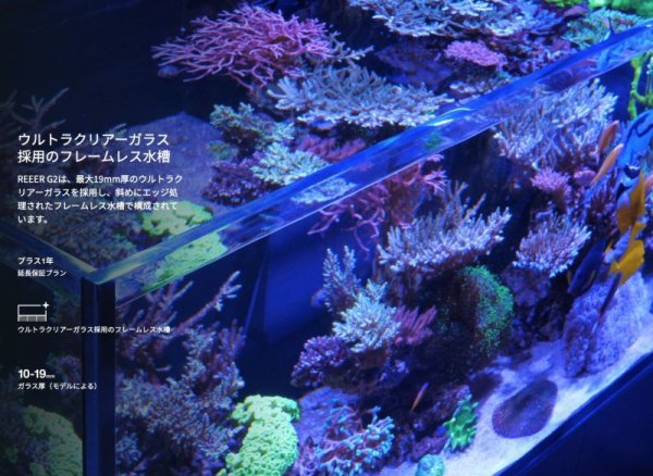 ☆処分価格☆レッドシー REEFER 250 G2+ ブラックキャビネット - 海水