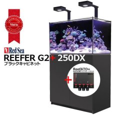 画像1: RedSea REEFER G2+　250DX　ブラックキャビネット (1)