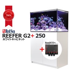 画像1: RedSea REEFER G2+　250　ホワイトキャビネット (1)