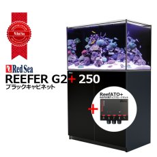 画像1: RedSea REEFER G2+　250　ブラックキャビネット (1)