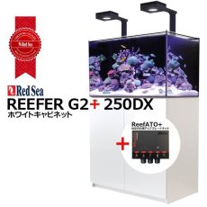 画像1: RedSea REEFER G2+　250DX　ホワイトキャビネット (1)