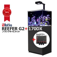 画像1: RedSea REEFER　G2+ 170DXブラックキャビネット (1)