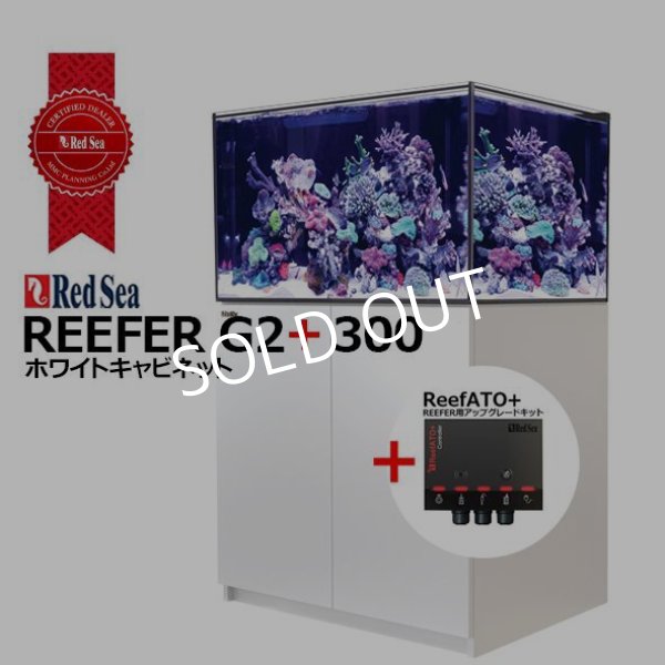 レッドシー REEFER 300 G2 + ホワイトキャビネット - 海水魚専門店