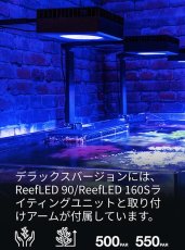 画像5: RedSea REEFER G2+　300DX　ホワイトキャビネット (5)