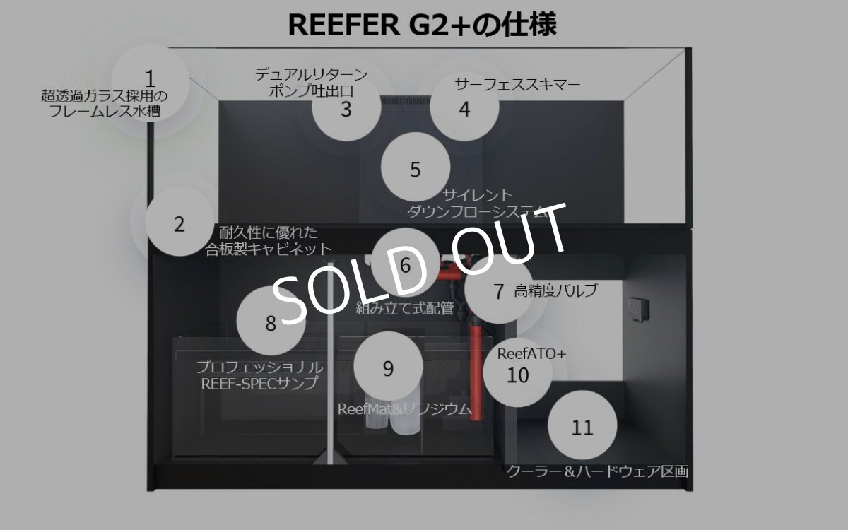 画像5: レッドシー REEFER 300 G2 +　ホワイトキャビネット (5)