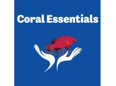 画像3: Coral Essentials Coral Power Food　50g (3)