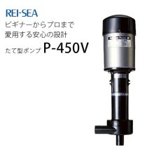 画像1: レイシー たて型ポンプP-450V (1)