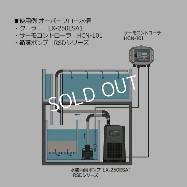 レイシー クーラー LX-300ESB1（サーモコントローラー別） - 海水魚