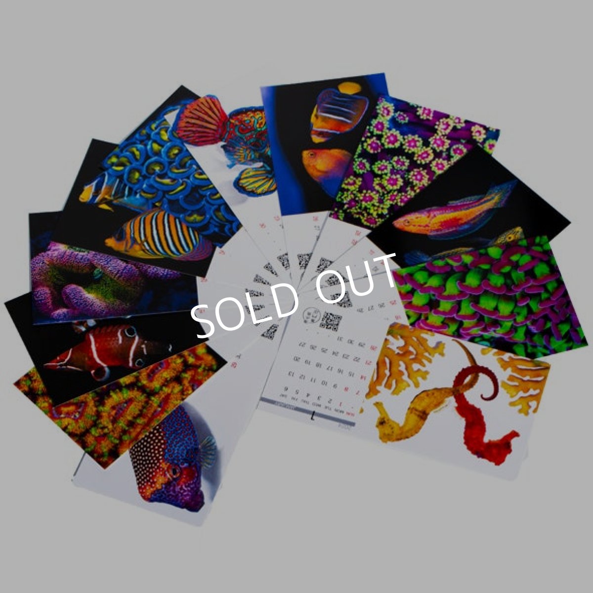 画像4: 2024年版 セポ・オリジナルフォトカレンダー (4)