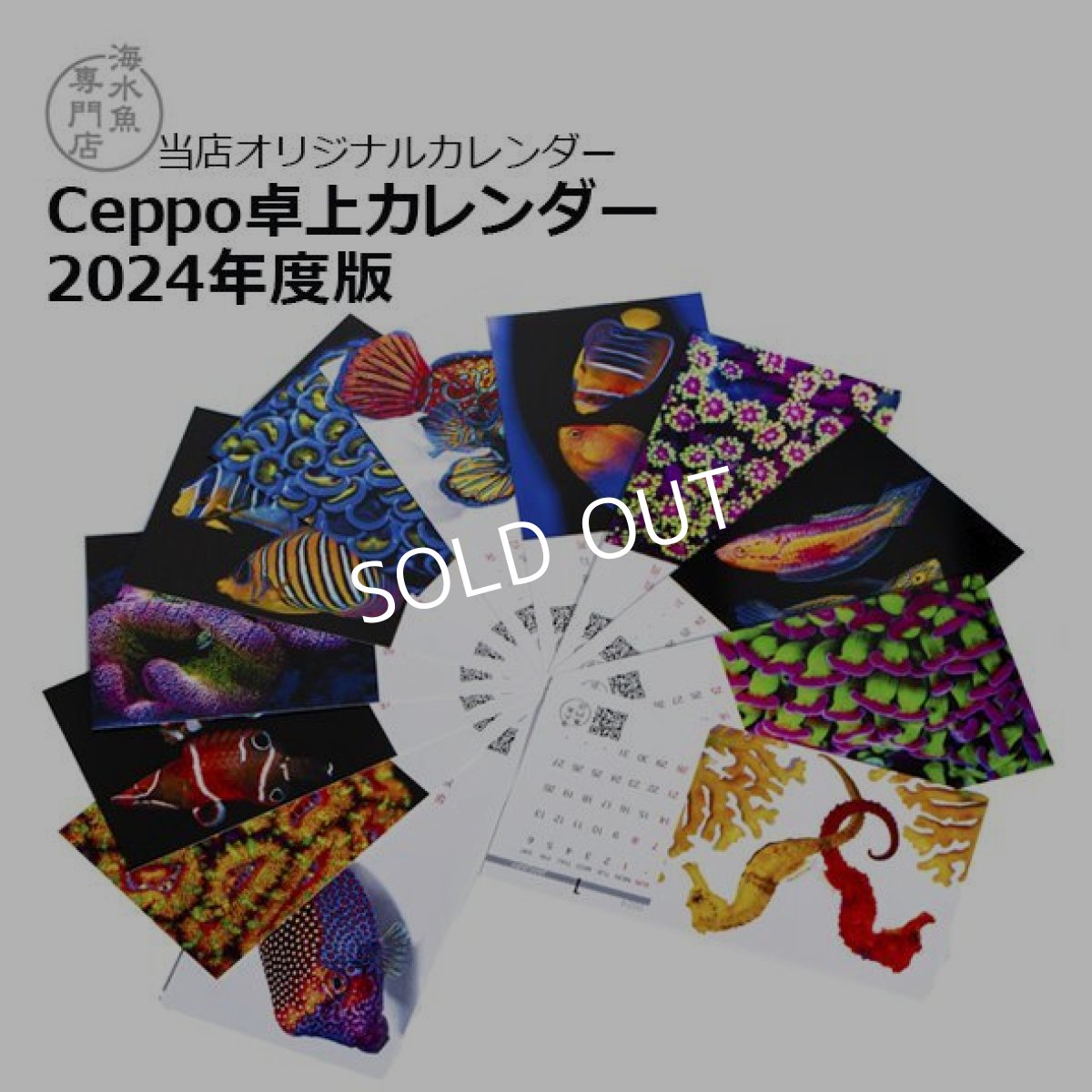 画像2: 2024年版 セポ・オリジナルフォトカレンダー (2)