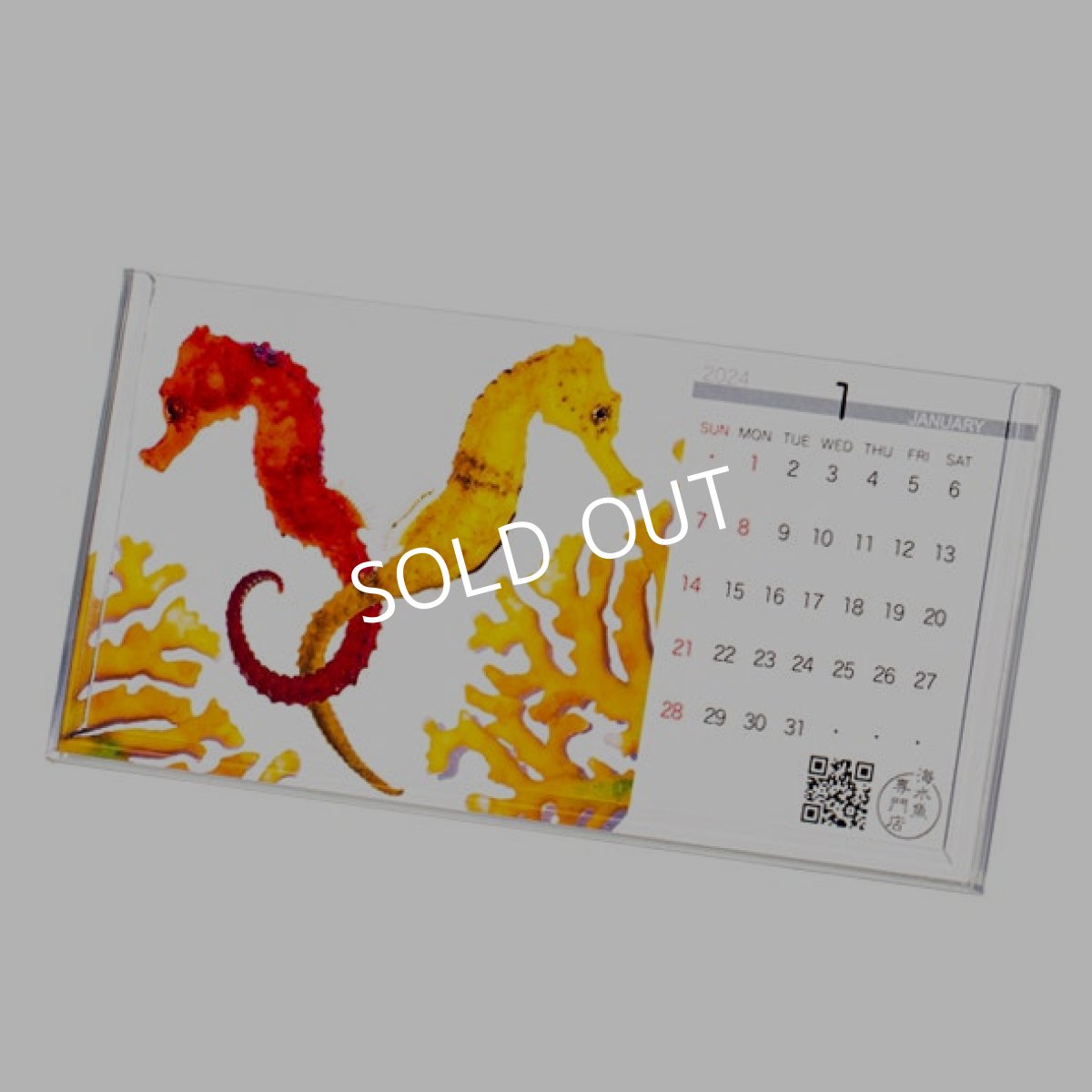 画像3: 2024年版 セポ・オリジナルフォトカレンダー (3)