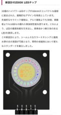 画像7: ZOOX アクロブースター(AcroBooster） (7)