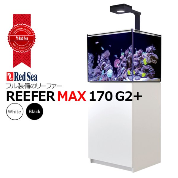引取限定（関東圏送料込) 超美品 redsea reefer 350 G2 水槽