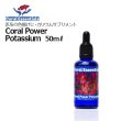 Coral Essentials 水質調整剤 50ml 3本セット⭐︎ Coral Power Food (コーラルパワーフード) 50g Coral Essentials