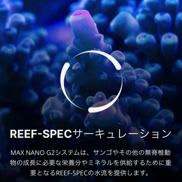 RedSea MAX NANO G2 Cube - 海水魚専門店 ceppo onlinestore