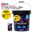 レッドシー 人工海水 コーラルプロソルト22kgボーナスパック