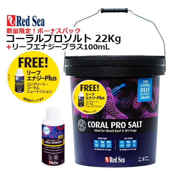 人工海水 黒丸バケツ コーラルプロソルト 22kg サンゴ SPS 成長　海水 楽天市場】人工海水 黒丸バケツ コーラルプロソルト 22kg