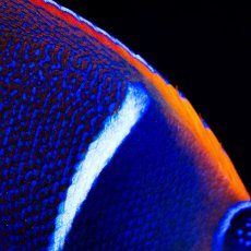 画像3: ■SALE■パッサーエンゼル ＭＬ (3)