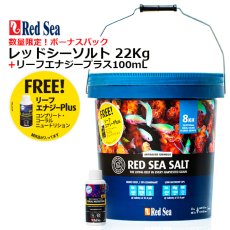 画像1: 数量限定　ボーナスパック・リーフエナジー100mLが付いてくる！！ レッドシーソルト22Kg （青バケツ大） (1)