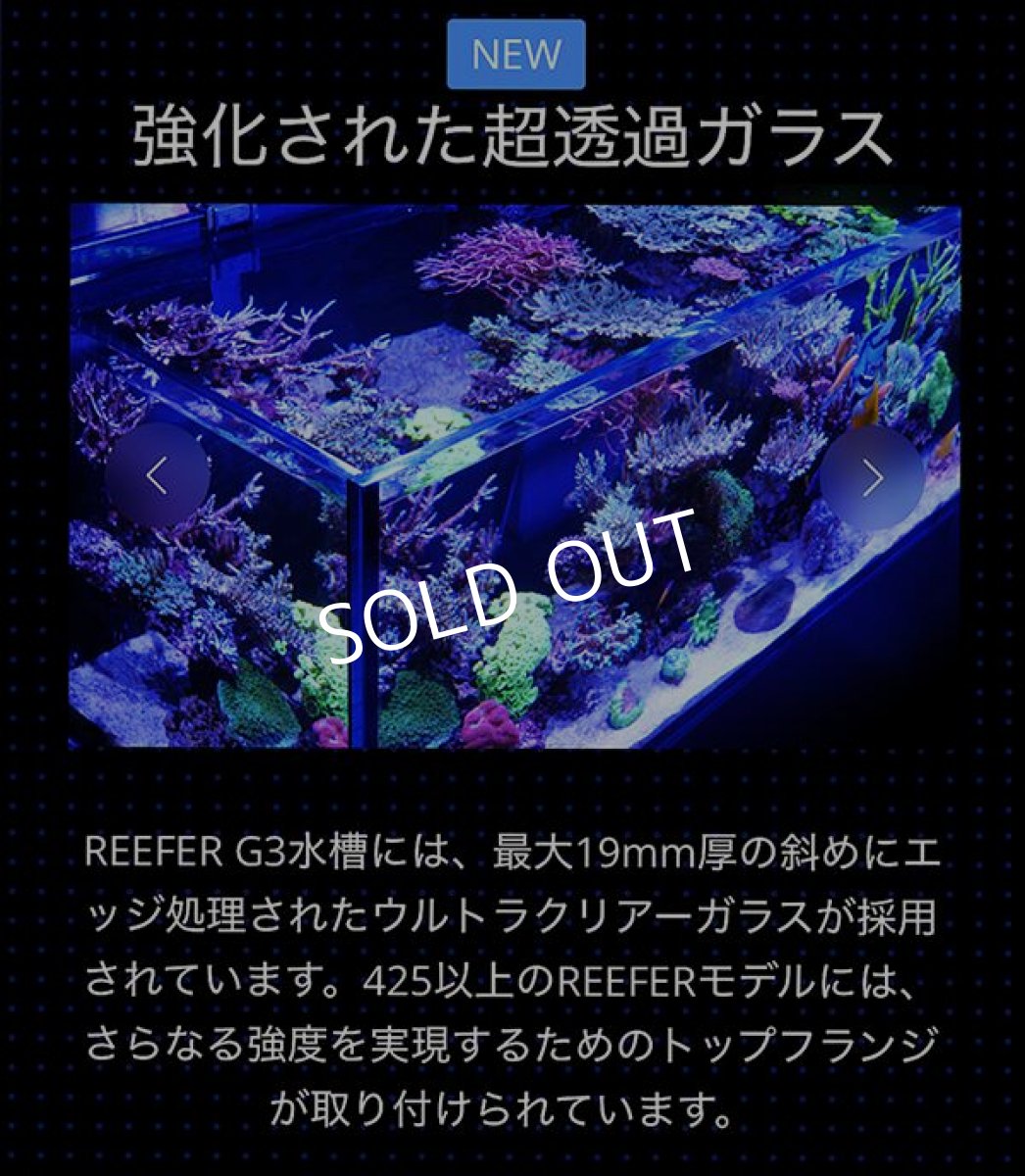 画像12: レッドシー　REEFER 300 G3  (12)