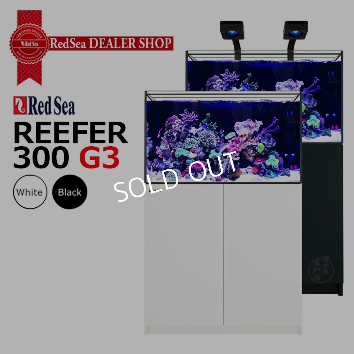 画像1: レッドシー　REEFER 300 G3  (1)