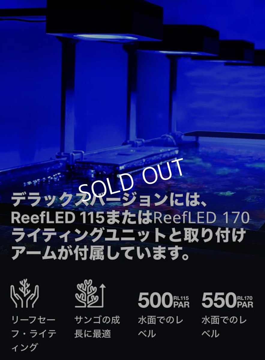 画像11: レッドシー　REEFER 300 G3  (11)