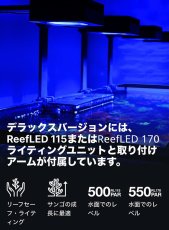 画像12: レッドシー　REEFER 350 G3 (12)