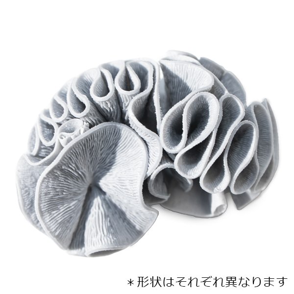 フジノスパイラル4リットル 高性能濾過材 FUJINO SPIRAL フジノスパイラル - 海水魚専門店 ceppo