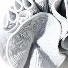 画像4: 高性能濾過材 FUJINO SPIRAL フジノスパイラル 5L（1リットル×5袋） (4)