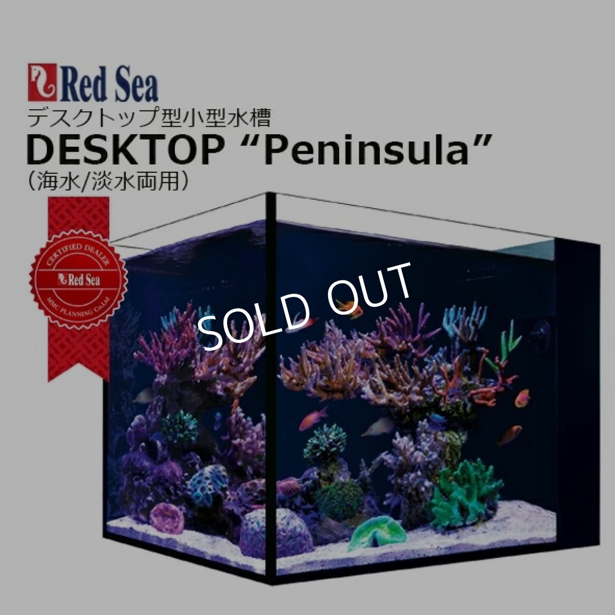 画像1: ☆開封済処分品☆レッドシー デスクトップ ペニンシュラ DESKTOP Peninsula (1)