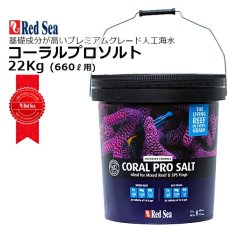 画像1: レッドシー 人工海水  コーラルプロソルト22kg （黒バケツ大） (1)