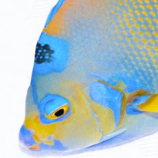 画像5: お問い合せページ  (5)