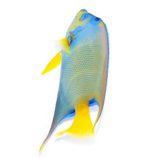 画像3: お問い合せページ  (3)