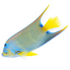 画像2: お問い合せページ  (2)