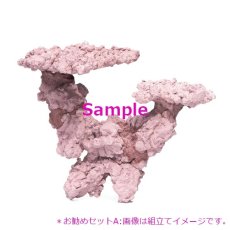 画像3: 人工ライブロック マメライブロック お勧めセットA（専用セメント付） (3)
