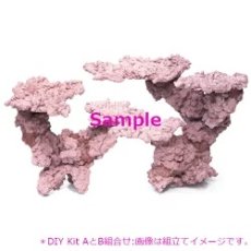 画像4: 人工ライブロック マメライブロック お勧めセットB（専用セメント付） (4)