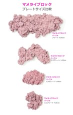 画像5: 人工ライブロック マメライブロック お勧めセットB（専用セメント付） (5)
