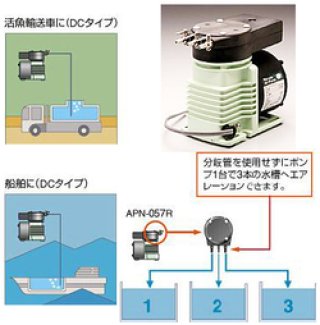レイシーAPNポンプ - 海水魚専門店 ceppo onlinestore